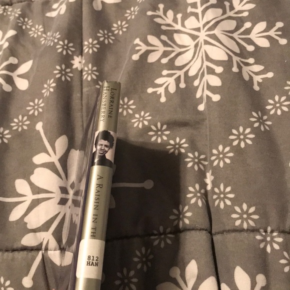 A Raisin In The Sun - Picture 4 of 4